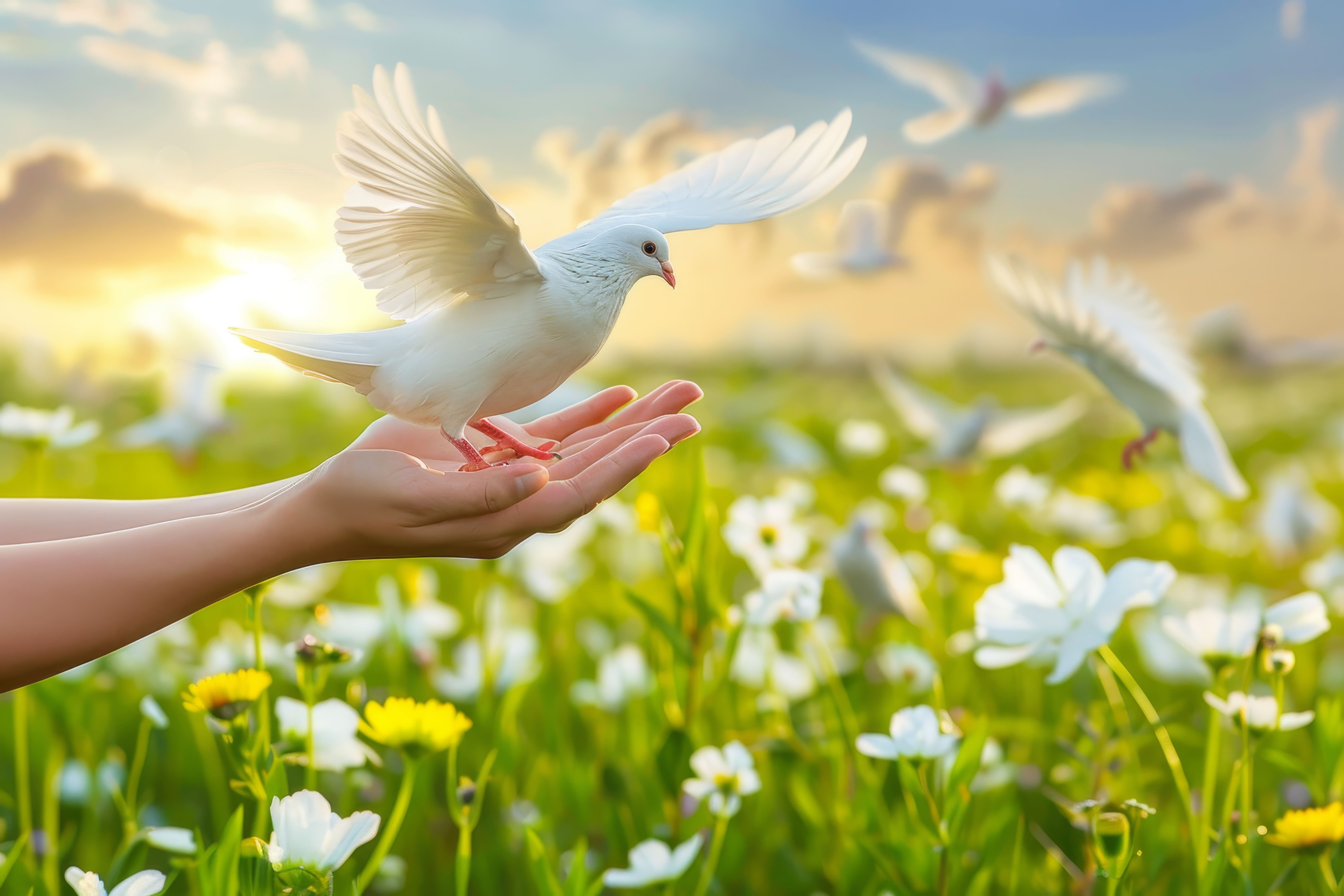 中醫調理與健康平衡